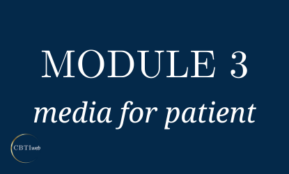 For Patient Video: 3P Model